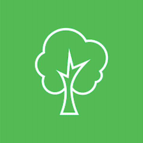 Progetto sperimentale “PiantiamOli!” per il recupero del paesaggio agrario con assegnazione gratuita di piante d’olivo resistenti alla Xylella